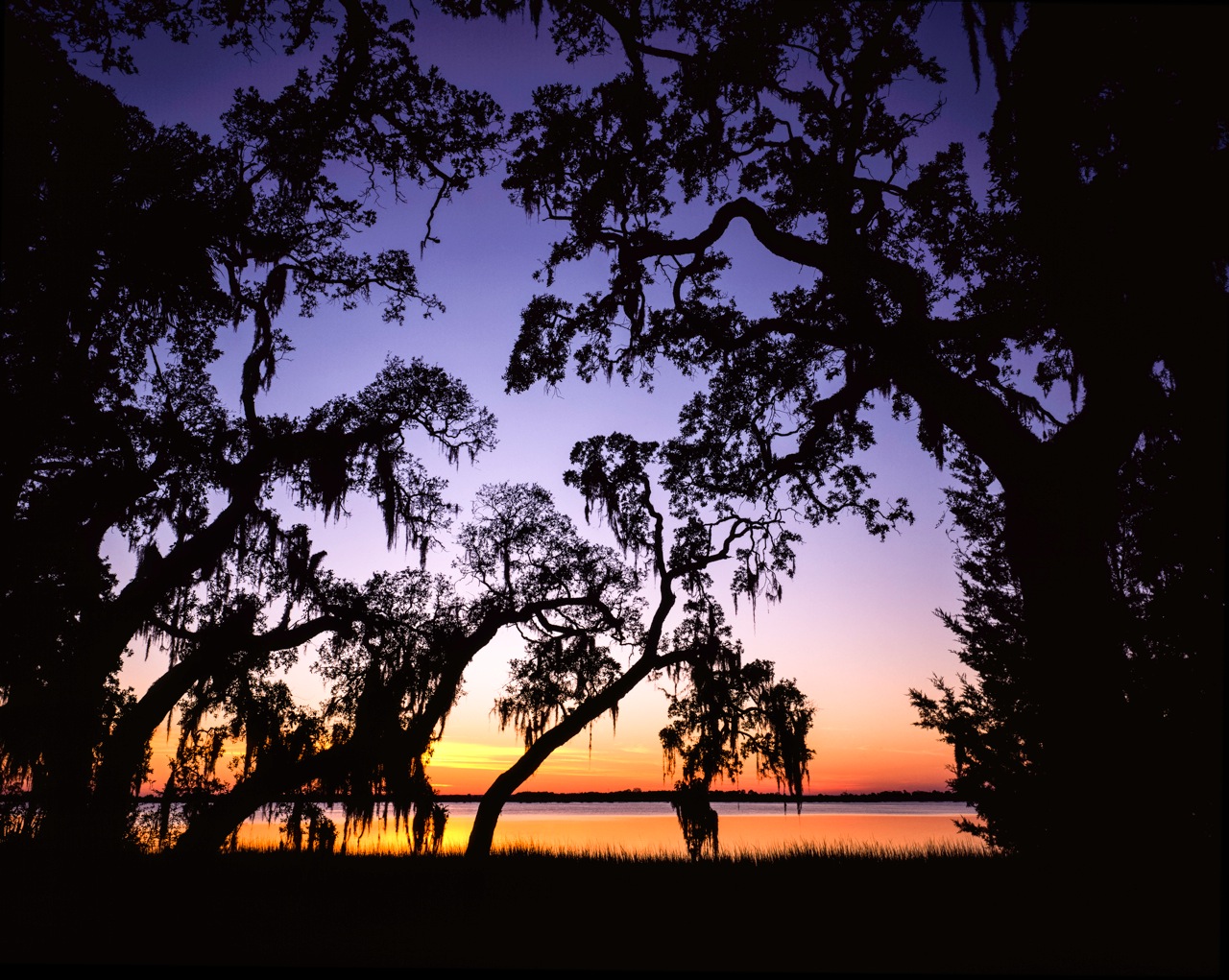 JekyllSunset_March2013.jpg