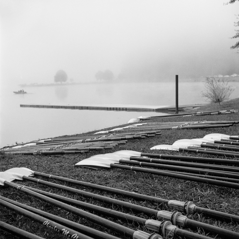 Regatta-2.jpg