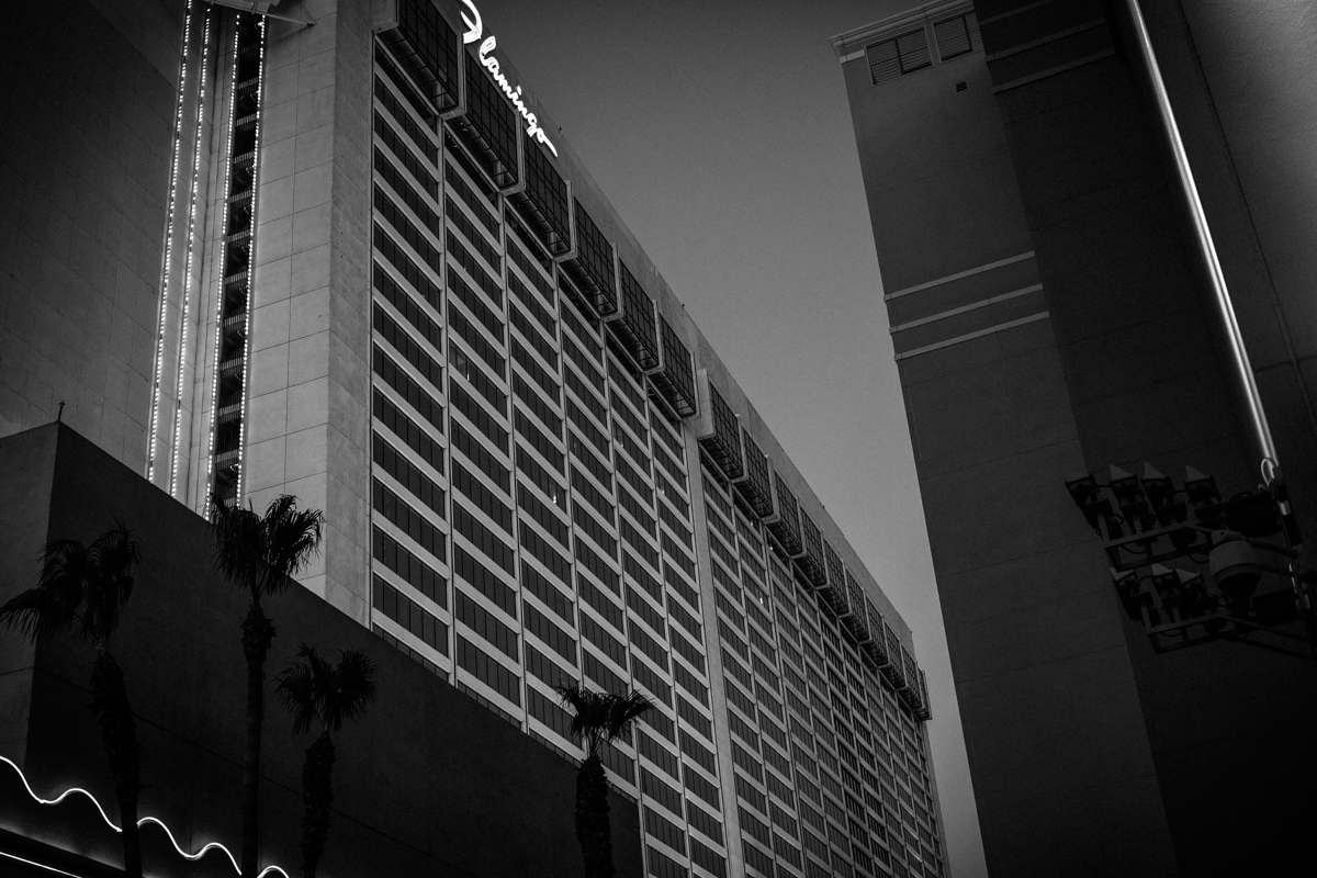 VegasArc-1.jpg