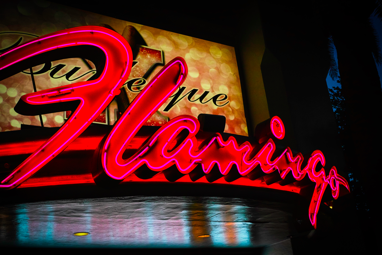 flamingo.jpg