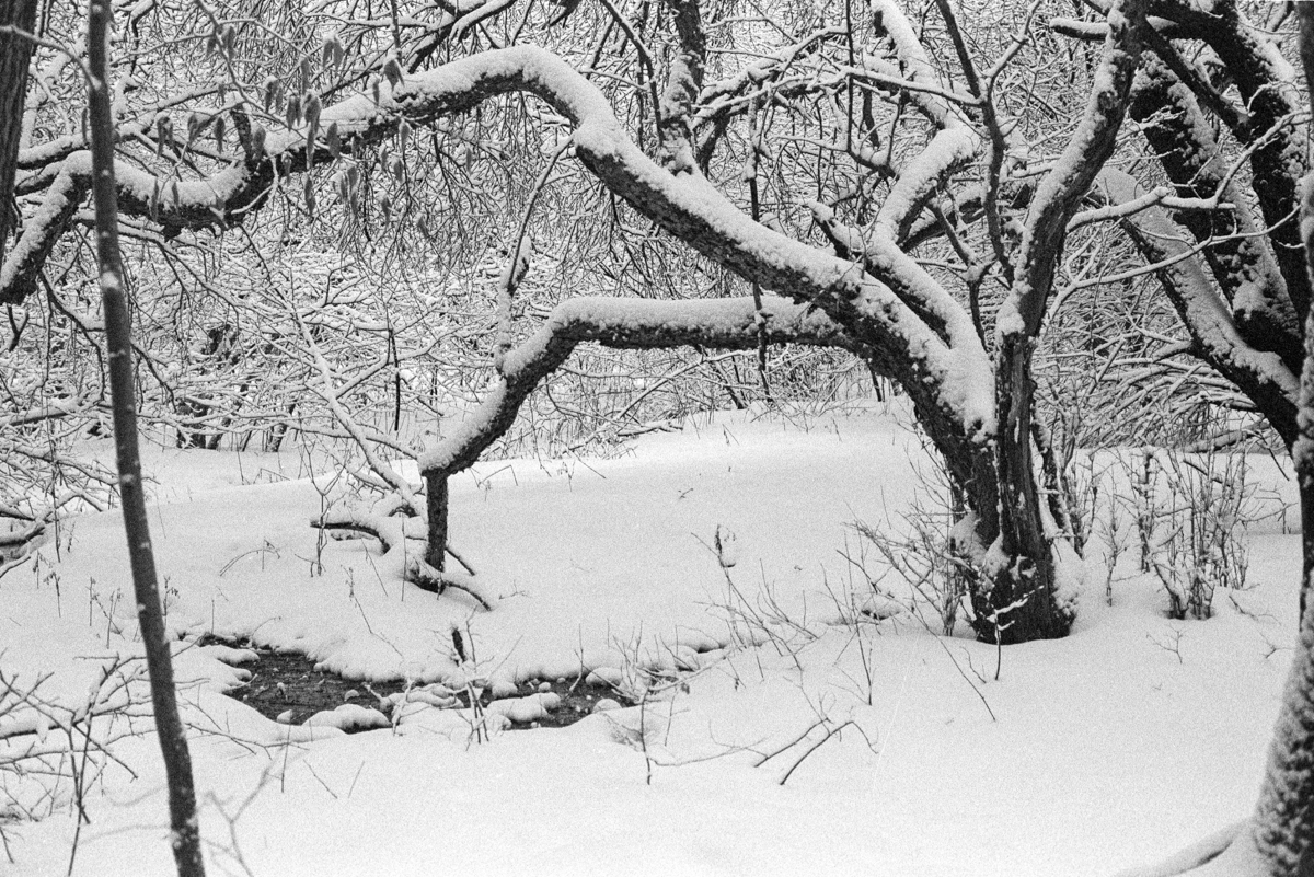 Hoxie-Winter-1.jpg