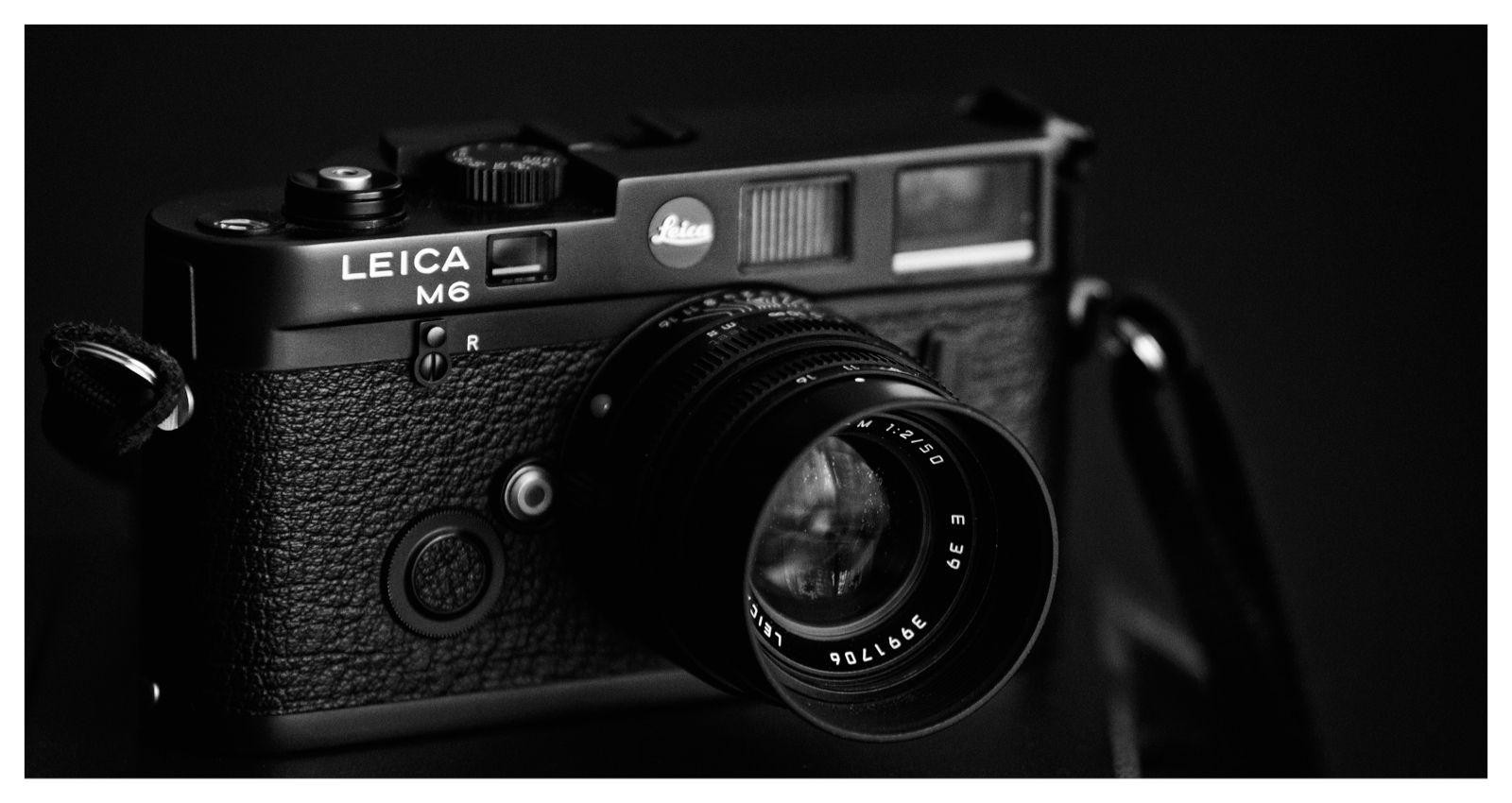 LeicaM6-2b.jpg