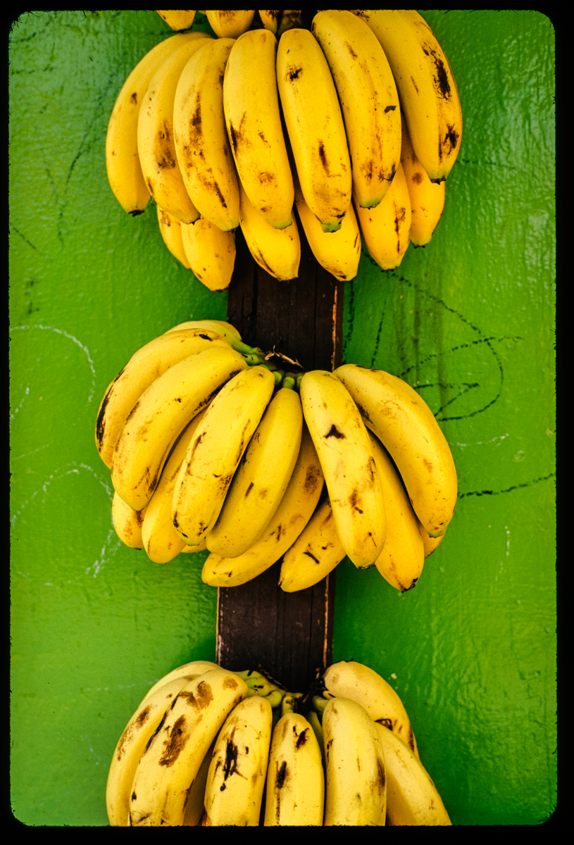 bananas.jpg