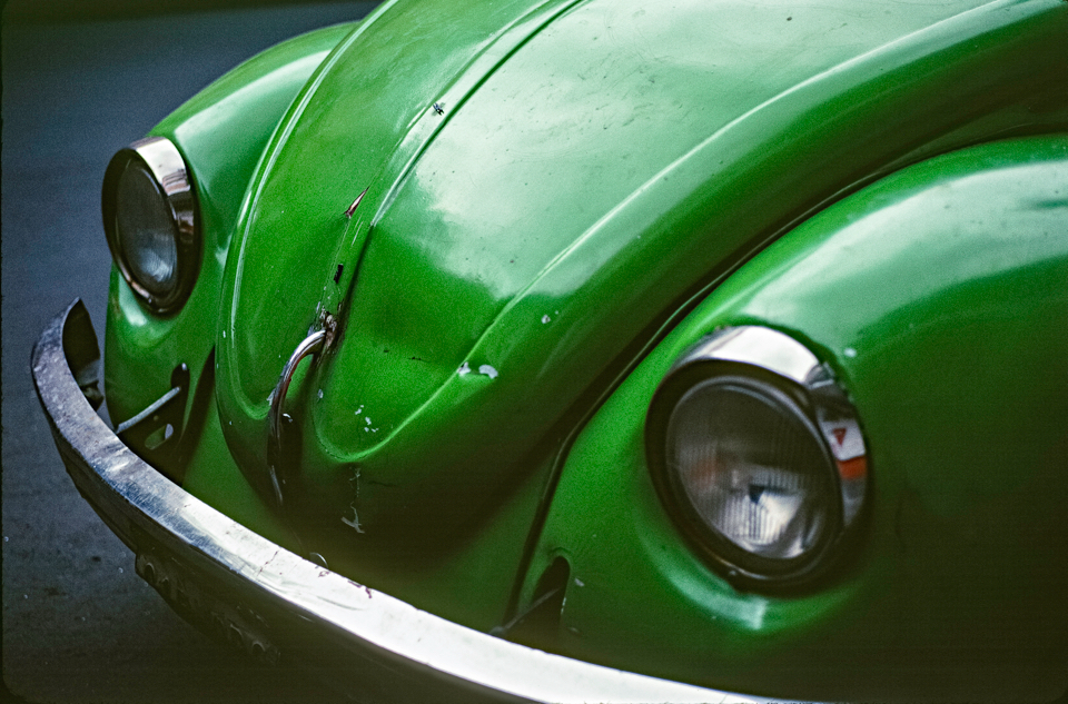 green-bug_960.jpg