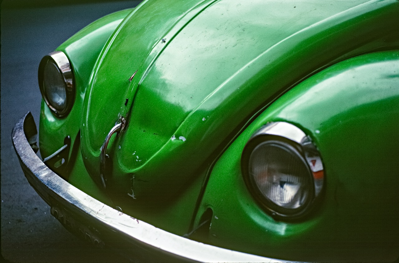 greenbug.jpg